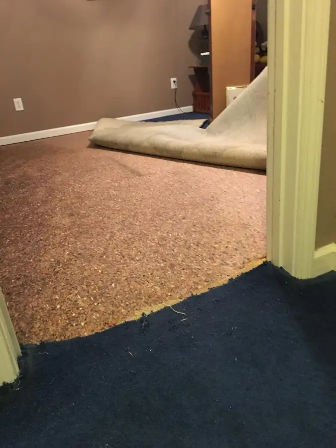 Carpet pad removal revealing water damage during Drying & Dehumidification in Maple Shade